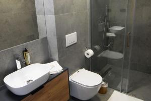 a bathroom with a sink and a toilet and a shower at Beskidzka9 & Free Sauna in Szczyrk