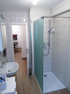 een badkamer met een glazen douche en een wastafel bij Ebenerdige Ferienwohnung mit großer Terrasse in der Nähe des Waldes, zum wohlfühlen in Schoneck