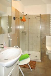 Koupelna v ubytování Apartment Lili - RAC139 by Interhome