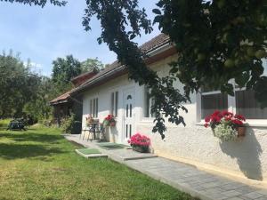 una casa blanca con flores delante en Casuta Sanatatii, en Covasna