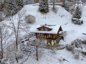 ヴェンゲンにあるApartment Drei Tannen by Interhomeの雪の丘の上の家