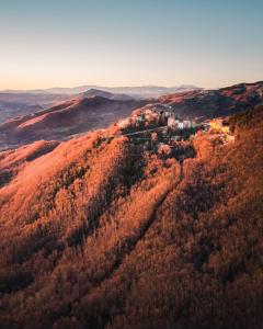 Vue aérienne d'une forêt à l'automne dans l'établissement Casa Vacanza Giardino, à Guardiabruna