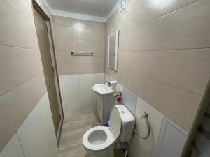 a small bathroom with a toilet and a sink at Hotel Le Baron in Timişoara