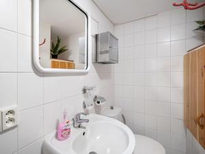 Kúpeľňa v ubytovaní Holiday Home Benešov nad Černou by Interhome