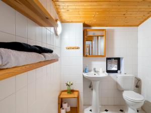 Kúpeľňa v ubytovaní Holiday Home Benešov nad Černou by Interhome