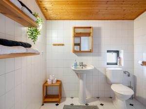 Kúpeľňa v ubytovaní Holiday Home Benešov nad Černou by Interhome