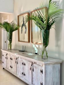 dos plantas en jarrones encima de un armario de madera en Casa espetacular em Geribá búzios, en Macapá