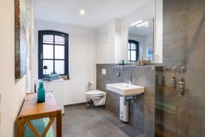 a bathroom with a sink and a toilet and a shower at Landhaus 1884 OFC 17 in Beiershagen