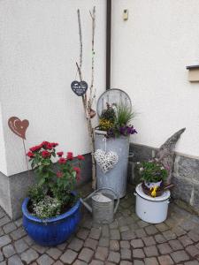 eine Gruppe mit Blumen und Pflanzen gefüllter Eimer in der Unterkunft Ferienwohnung Erika in Laußnitz