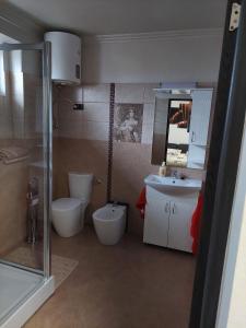 a bathroom with a toilet and a sink at Apartment First December in Oradea +2 photos