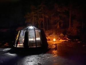 Foto dalla galleria di Yggdrasil Igloo Värmland a Töcksfors