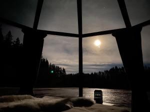 Foto dalla galleria di Yggdrasil Igloo Värmland a Töcksfors