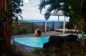a small swimming pool with a view of the ocean at Le Domaine du Rocher Noir in Pointe-Noire
