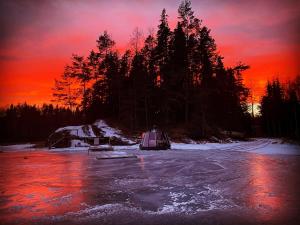 Foto dalla galleria di Yggdrasil Igloo Värmland a Töcksfors