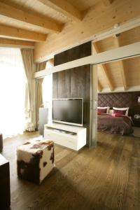 A television and/or entertainment centre at Hotel Maximilian