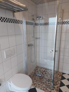 a bathroom with a toilet and a shower at Hotel Pamakin in Wynau