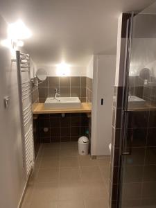 Baño pequeño con lavabo y espejo en Gîtes Aubergine et Poivron en Toulaud