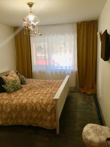 Schlafzimmer mit einem Bett und einem Fenster in der Unterkunft Apartament Veverițe in Slănic-Moldova