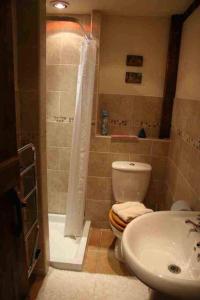 a bathroom with a shower and a toilet and a sink at The Stable in Hailsham