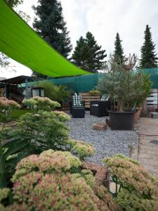 Zahrada ubytování Ferienwohnung Maxima + 24 fotografií