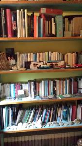 półka pełna książek w obiekcie Palazzo Bizzarri w mieście Rapolano Terme