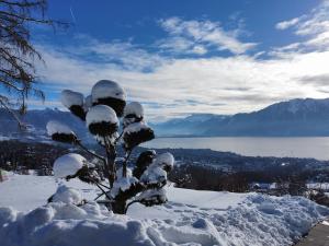Paesaggio naturale nelle vicinanze dell'appartamento