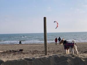 キオッジャにあるCASA CAMILLAのギャラリーの写真