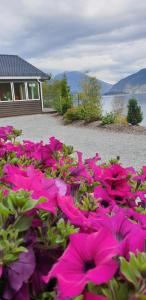 a pile of pink flowers in front of a house at Frydenlund in Balestrand
