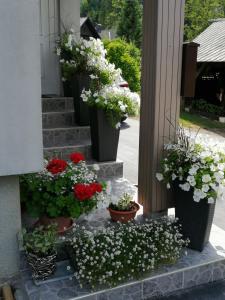 En have udenfor Apartma SIMONA