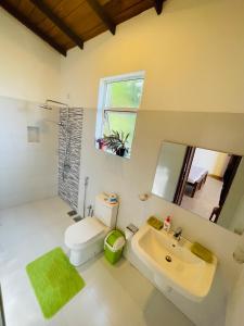 uma casa de banho com um WC, um lavatório e um espelho. em Feel Home em Kandy