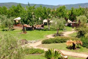 park z ławką, drzewami i ścieżką w obiekcie Agriturismo Vecchio Imposto w mieście Massa Marittima