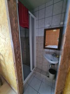 baño pequeño con ducha y lavamanos en Apartment Residence Les Alpages, en La Giettaz
