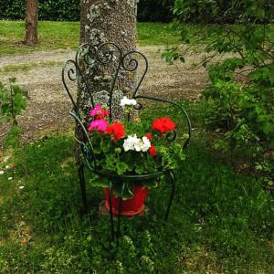 un vaso di fiori seduto su una panchina accanto a un albero di Agriturismo Podernuovo ad Acquapendente