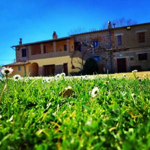 un edificio frente a un campo de césped verde en Agriturismo Podernuovo, en Acquapendente