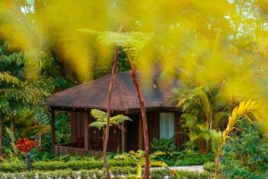 Jardín al aire libre en Hotel Lomas del Volcan