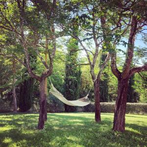 a hammock hanging between two trees in a park at Podere La Chiusella B&B in Rapolano Terme