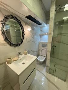 a bathroom with a sink and a mirror and a toilet at Liga apartment in Vračar (historical)