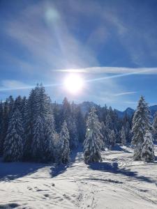 Φωτογραφία από το άλμπουμ του Gästehaus Alpenkranz στο Γκάρμις-Παρτενκίρχεν