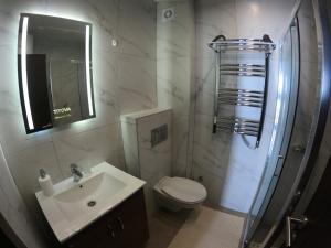 a bathroom with a sink and a toilet and a mirror at Perla apartman Titova vila in Palisat