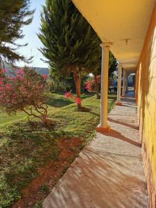 Zahrada ubytování Hotel Antonio