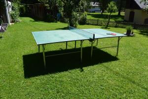 Stolní tenis v ubytování Landhaus Unterköfler nebo okolí