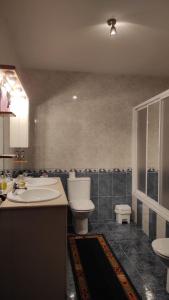 y baño con lavabo y aseo. en El encinar de las Hoces - Vivienda de uso turístico en Castrillo de Sepúlveda