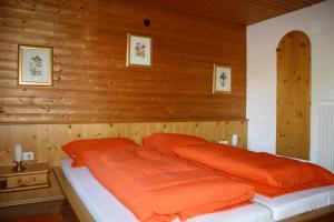 Gallery image of Pension Haus Maria in Ramsau am Dachstein