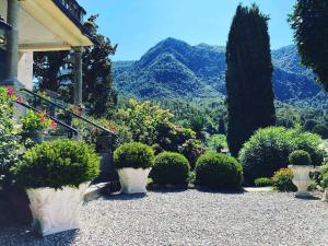 a garden with bushes and trees and a mountain at il Motto di Tommy in Castelveccana
