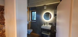 a bathroom with a sink and a mirror and a toilet at 1Step2AllNature Tinyhouse in Wuppertal