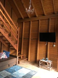 uma sala de estar com uma televisão e uma escada em Chalé Gregório em Imbituba