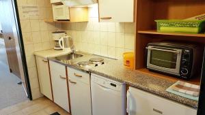 Kuchyňa alebo kuchynka v ubytovaní Haus Löger Apartments Pyhrn Priel