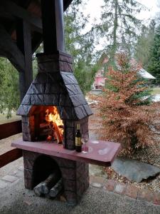 un horno de ladrillo con un fuego dentro de él en Villa Romantica, en Novo Zvecevo