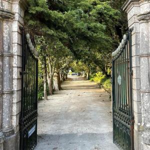 una entrada a una puerta con una entrada arbolada en Casa Holstein Quinta de Sao Sebastiao Sintra, en Sintra