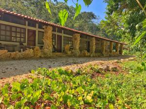 A garden outside Finca Vallescondido